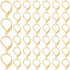 SOFPLATE 304 Stainless Steel Leverback Earring Findings STAS-SP0001-06A-1