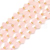 Natural Rose Quartz Beads Strands G-I376-B06-01-1
