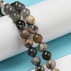 Natural Dendritic Jasper Beads Strands G-R494-A23-02-4