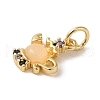 Brass Micro Pave Colorful Cubic Zirconia Glass Pendants X-KK-R162-026A-G-2