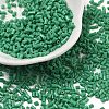 Two Cut Glass Seed Beads CSDB47-1