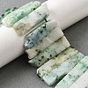 Natural Chrysocolla Beads Strands G-S386-D21-1