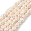 Natural Cultured Freshwater Pearl Beads Strands PEAR-P064-19K-03B-2