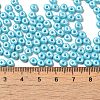 Baking Paint Luster Glass Seed Beads X1-SEED-B001-04A-03-4