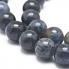 Natural Dumortierite Quartz Bead Strands G-I224-03-8mm-3