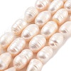 Natural Cultured Freshwater Pearl Beads Strands PEAR-P062-14C-2