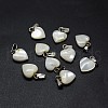 Shell Charms X-SSHEL-E564-26P-1