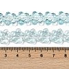 Transparent Glass Beads Strands GLAA-H038-02C-4