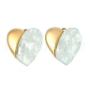 304 Stainless Steel Resin Pendants STAS-V015-50G-1
