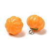 Opaque Resin Pendants CRES-Z003-05-3