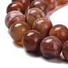 Natural Fire Crackle Agate Beads Strands G-B079-A01-04-4