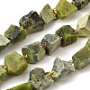 Raw Rough Natural Serpentine Beads Strands G-Z087-B14-2