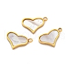 Ion Plating(IP) 304 Stainless Steel Pave Natural Shell Charms STAS-Z100-01G-03-1