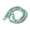 Natural Amazoniten Beads Strands G-M445-B01-01-3