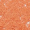 Baking Paint Glass Seed Beads SEED-S042-05B-83-3