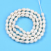 Natural Cultured Freshwater Pearl Beads Strands PEAR-N012-03O-3