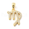925 Sterling Sliver Micro Pave Clear Cubic Zirconia Pendants STER-Z012-06G-08-1