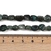 Natural Green Quartz Beads Strands G-Q060-D13-5