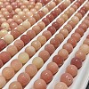 Natural Bodhi Root Beads FIND-Z037-01F-1