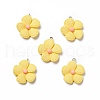 Opaque Resin Pendants RESI-E024-01P-01-1
