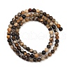 Natural Zebra Jasper Beads Strands G-F792-C13-07-3