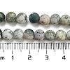 Natural Tree Agate Frosted Agate Round Gemstone Beads Strands G-O151-01-6mm-3