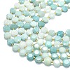 Natural Flower Amazonite Beads Strands G-C116-A104-01-3