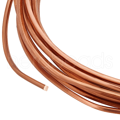 Copper Wire FIND-WH0170-40A-RG-1