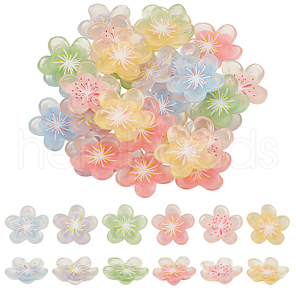 AHADERMAKER 60Pcs 6 Colors Translucent Resin Decoden Cabochons RESI-GA0001-31-1