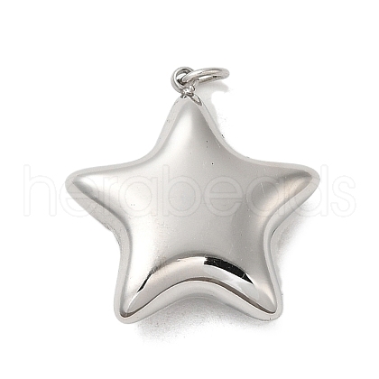 Non-Tarnish 304 Stainless Steel Pendants STAS-K263-27P-1