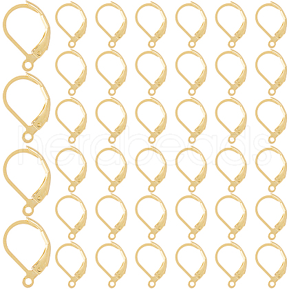 SOFPLATE 304 Stainless Steel Leverback Earring Findings STAS-SP0001-06A-1