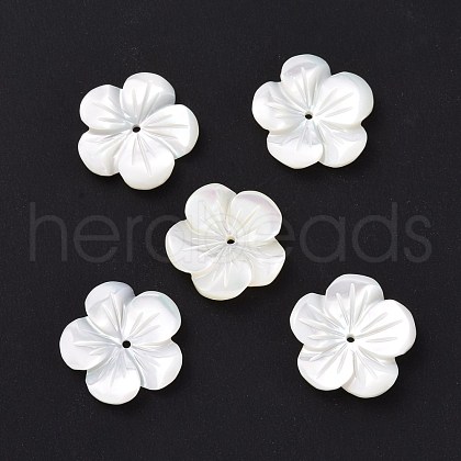 Natural Trochid Shell/Trochus Shell Beads SHEL-P014-02D-1