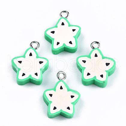 Handmade Polymer Clay Charms CLAY-T016-73-1