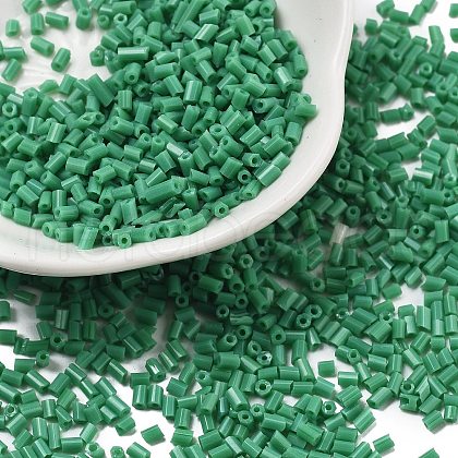Two Cut Glass Seed Beads CSDB47-1