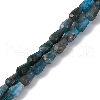 Natural Apatite Beads Strands G-C080-B06-01A-1