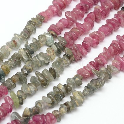 Chips Natural Tourmaline Beads Strands G-N0164-04A-1
