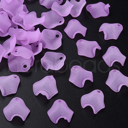 Transparent Acrylic Beads MACR-S373-106-D03-1