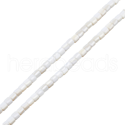 2 Strands Natural Freshwater Shell Beads Strands SHEL-HS0001-06-1