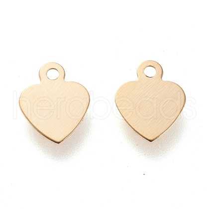 304 Stainless Steel Charms STAS-K195-13G-1