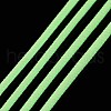 Luminous Polyester Braided Cords OCOR-T015-01R-4