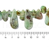 Natural Chrysoprase Beads Strands G-F645-16-01-2