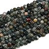 Natural Moss Agate Beads Strands G-Q060-E10-2