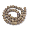 Natural Elephant Skin Jasper/Miriam Stone/Calligraphy Stone Beads Strands G-T106-123-3