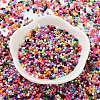 Baking Paint Glass Seed Beads SEED-S042-05B-48-2