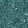 11/0 Grade A Glass Seed Beads SEED-S030-1216-2