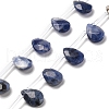 Natural Sodalite Beads Strands G-Q167-A08-01-1