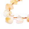 Natural Citrine Beads Strands G-E569-R06-3