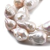 Natural Nucleated Pear Beads Strands PEAR-B004-15J-05A-3