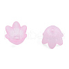 Opaque & Transparent Acrylic Beads MACR-T045-01C-3