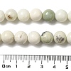 Natural Dendritic Jasper Beads Strands G-H298-A15-04-5